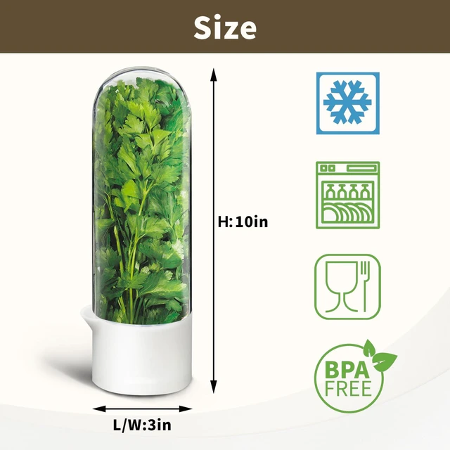 Alt view image 4 of 7 - Herb Keeper for Refrigerator, Herb Saver for Refrigerator, Cilantro Container, Vegetable Preservation Bottle for Cilantro, Mint, Parsley, Asparagus, Keeps Greens Fresh for 2-3 Weeks (2PCS)