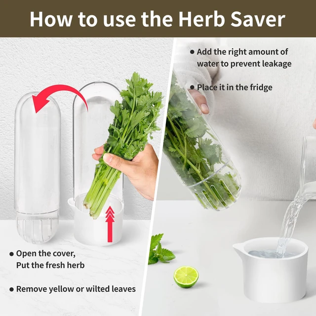 Alt view image 5 of 7 - Herb Keeper for Refrigerator, Herb Saver for Refrigerator, Cilantro Container, Vegetable Preservation Bottle for Cilantro, Mint, Parsley, Asparagus, Keeps Greens Fresh for 2-3 Weeks (2PCS)