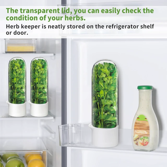 Alt view image 6 of 7 - Herb Keeper for Refrigerator, Herb Saver for Refrigerator, Cilantro Container, Vegetable Preservation Bottle for Cilantro, Mint, Parsley, Asparagus, Keeps Greens Fresh for 2-3 Weeks (2PCS)