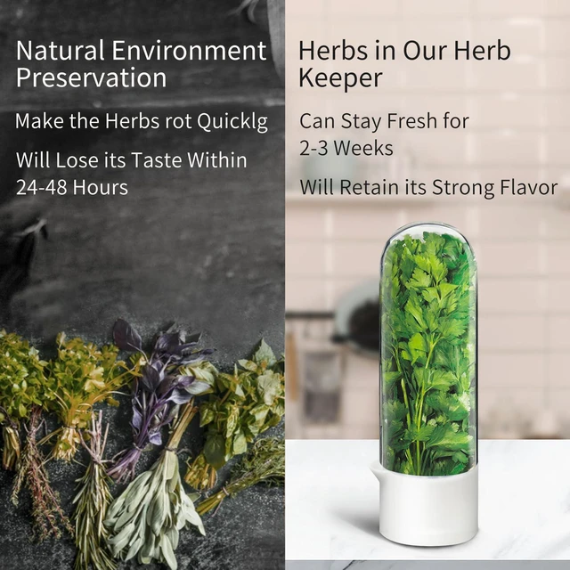 Alt view image 7 of 7 - Herb Keeper for Refrigerator, Herb Saver for Refrigerator, Cilantro Container, Vegetable Preservation Bottle for Cilantro, Mint, Parsley, Asparagus, Keeps Greens Fresh for 2-3 Weeks (2PCS)