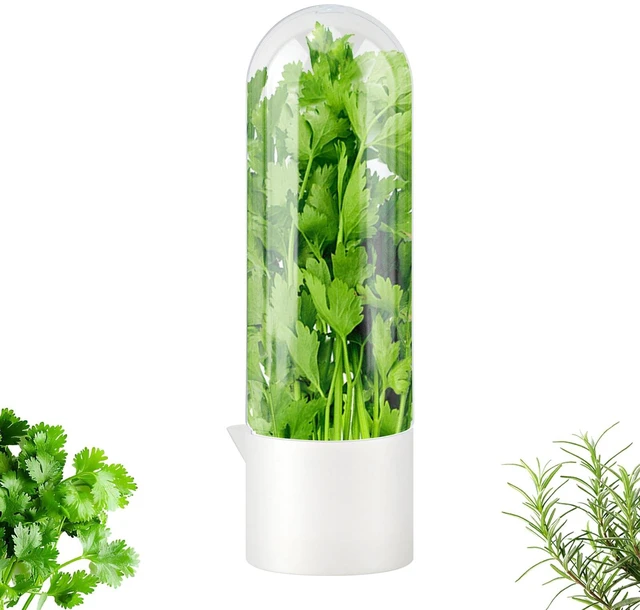 Main image of Herb Keeper for Refrigerator, Fresh Herb Saver for Cilantro or Parsley | Upright herb storage for one fresh herb in the refrigerator, keeping stems hydrated, contents visible, and kitchen use simple