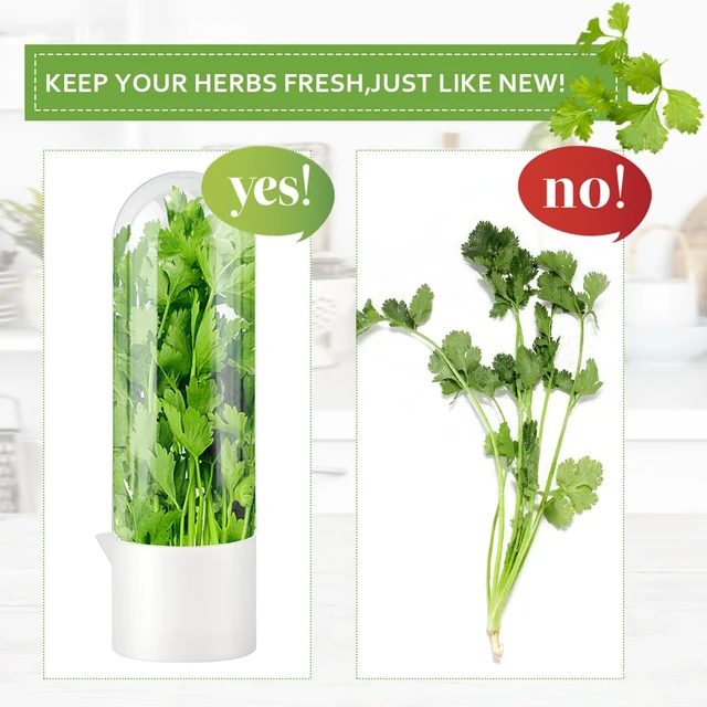 Alt view image 3 of 7 - Herb Saver for Refrigerator With Herb Stem Stripping Tool | Herb Keeper & Cilantro Container,Vegetable Preservation Bottle for Cilantro ,Parsley,Mint,Keeps Greens for 2-3 Weeks