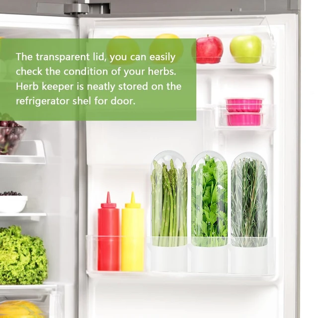 Alt view image 6 of 7 - Herb Saver for Refrigerator With Herb Stem Stripping Tool | Herb Keeper & Cilantro Container,Vegetable Preservation Bottle for Cilantro ,Parsley,Mint,Keeps Greens for 2-3 Weeks