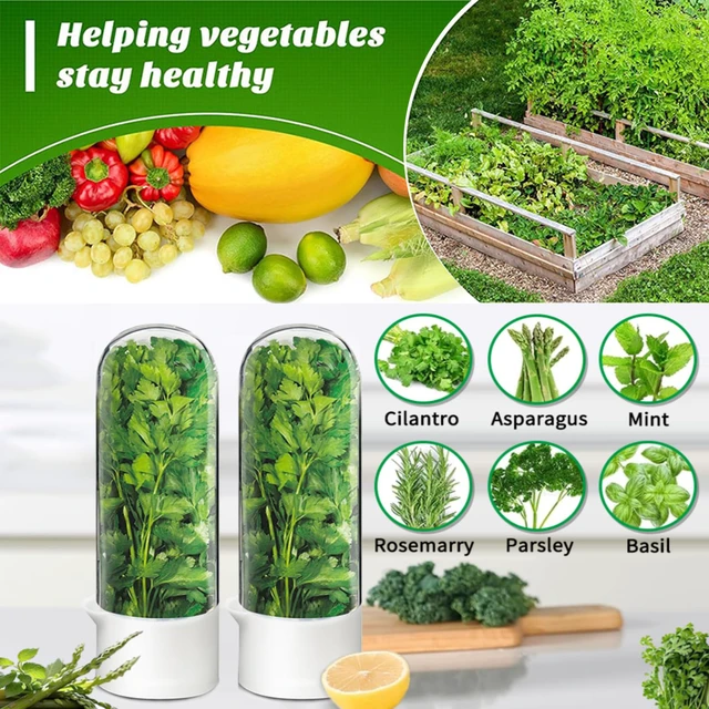 Alt view image 2 of 7 - Herb Saver for Refrigerator - Herb Keeper & Cilantro Container for Fridge | Vegetable Preservation Storage Container for Cilantro, Basil, Asparagus | Extends Freshness Up to 2-3 Weeks
