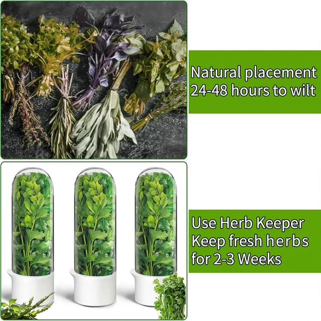 Alt view image 3 of 7 - Herb Saver for Refrigerator - Herb Keeper & Cilantro Container for Fridge | Vegetable Preservation Storage Container for Cilantro, Basil, Asparagus | Extends Freshness Up to 2-3 Weeks