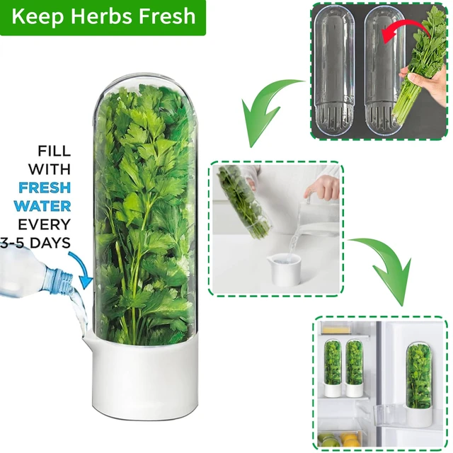 Alt view image 4 of 7 - Herb Saver for Refrigerator - Herb Keeper & Cilantro Container for Fridge | Vegetable Preservation Storage Container for Cilantro, Basil, Asparagus | Extends Freshness Up to 2-3 Weeks