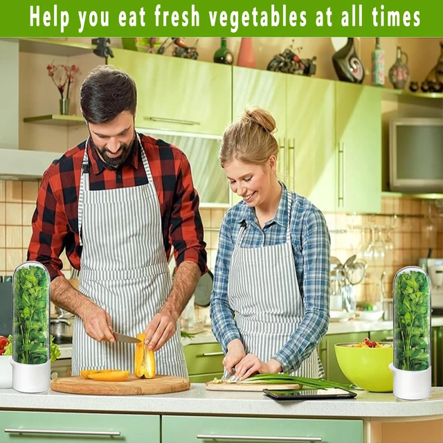 Alt view image 7 of 7 - Herb Saver for Refrigerator - Herb Keeper & Cilantro Container for Fridge | Vegetable Preservation Storage Container for Cilantro, Basil, Asparagus | Extends Freshness Up to 2-3 Weeks