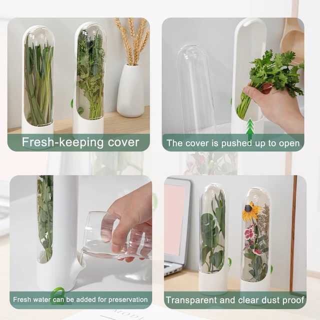 Alt view image 7 of 7 - Herb Saver Pod Cilantro Containers | Clear Storage Bottle Fresh Storage Container for Cilantro Parsley Mint, Fresh Produce Saver, Extends Freshness for 2-3 Weeks
