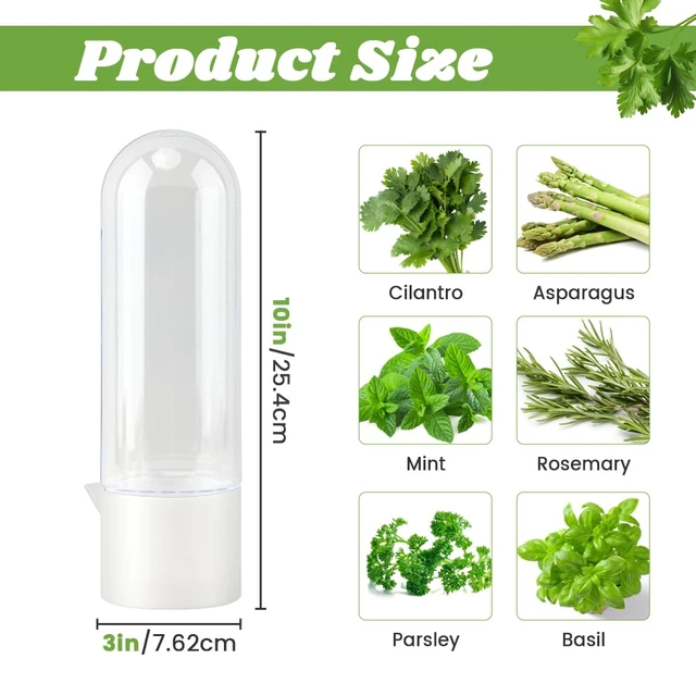 Alt view image 2 of 7 - Fresh Herb Saver Cilantro Storage Containers for Refrigerator, Transparent Herbs Saver fits Fridge Asparagus Parsley Mint Leaves, Keeps Greens Vegetables for 2-3 Weeks(SIZE:2 pcs)