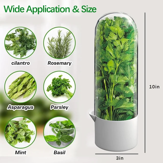 Alt view image 2 of 5 - 2 Pack Herb Keeper for Refrigerator, Clear BPA-Free Fresh Herb Saver | BPA-Free, Fridge Storage Container, For Cilantro, Parsley, Thyme, Mint & Asparagus, 2-3 Weeks Freshness