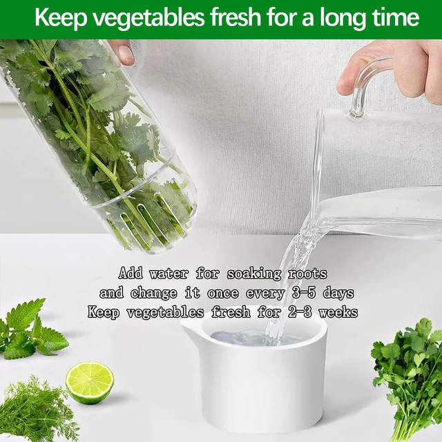 Alt view image 3 of 5 - 2 Pack Herb Keeper for Refrigerator, Clear BPA-Free Fresh Herb Saver | BPA-Free, Fridge Storage Container, For Cilantro, Parsley, Thyme, Mint & Asparagus, 2-3 Weeks Freshness