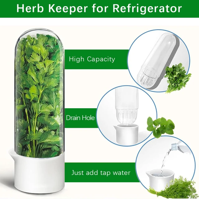 Alt view image 4 of 5 - 2 Pack Herb Keeper for Refrigerator, Clear BPA-Free Fresh Herb Saver | BPA-Free, Fridge Storage Container, For Cilantro, Parsley, Thyme, Mint & Asparagus, 2-3 Weeks Freshness