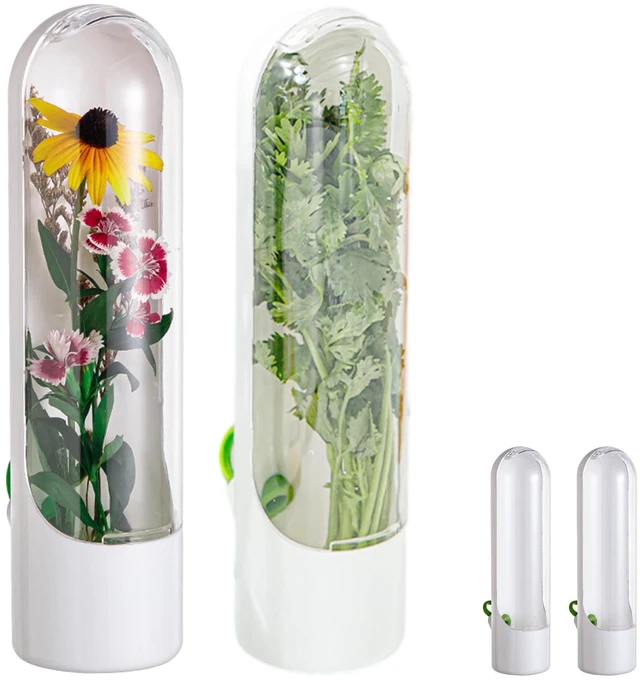 Main image of Herb Saver Pod Cilantro Containers | Clear Storage Bottle Fresh Storage Container for Cilantro Parsley Mint, Fresh Produce Saver, Extends Freshness for 2-3 Weeks