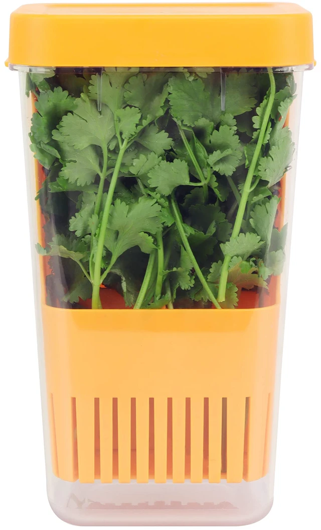 Main image of Fresh Herb Keeper for Refrigerator, Clear BPA-Free Herb Saver, Storage Container for Cilantro, Parsley, Thyme, Mint & Asparagus, Preserver Keeps Fresh Herbs for 3 Times Longer, Orange