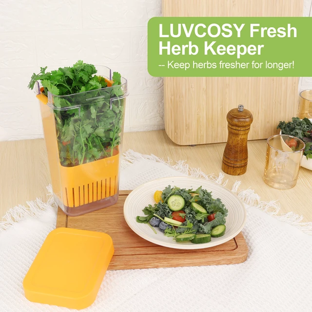 Alt view image 3 of 7 - Fresh Herb Keeper for Refrigerator, Clear BPA-Free Herb Saver, Storage Container for Cilantro, Parsley, Thyme, Mint & Asparagus, Preserver Keeps Fresh Herbs for 3 Times Longer, Orange