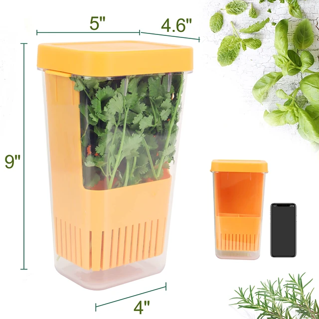 Alt view image 2 of 7 - Fresh Herb Keeper for Refrigerator, Clear BPA-Free Herb Saver, Storage Container for Cilantro, Parsley, Thyme, Mint & Asparagus, Preserver Keeps Fresh Herbs for 3 Times Longer, Orange