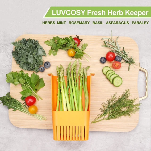 Alt view image 4 of 7 - Fresh Herb Keeper for Refrigerator, Clear BPA-Free Herb Saver, Storage Container for Cilantro, Parsley, Thyme, Mint & Asparagus, Preserver Keeps Fresh Herbs for 3 Times Longer, Orange