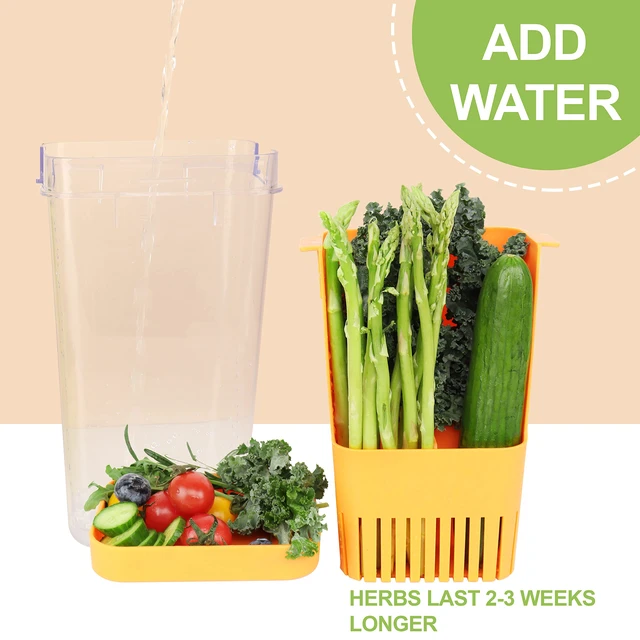 Alt view image 5 of 7 - Fresh Herb Keeper for Refrigerator, Clear BPA-Free Herb Saver, Storage Container for Cilantro, Parsley, Thyme, Mint & Asparagus, Preserver Keeps Fresh Herbs for 3 Times Longer, Orange