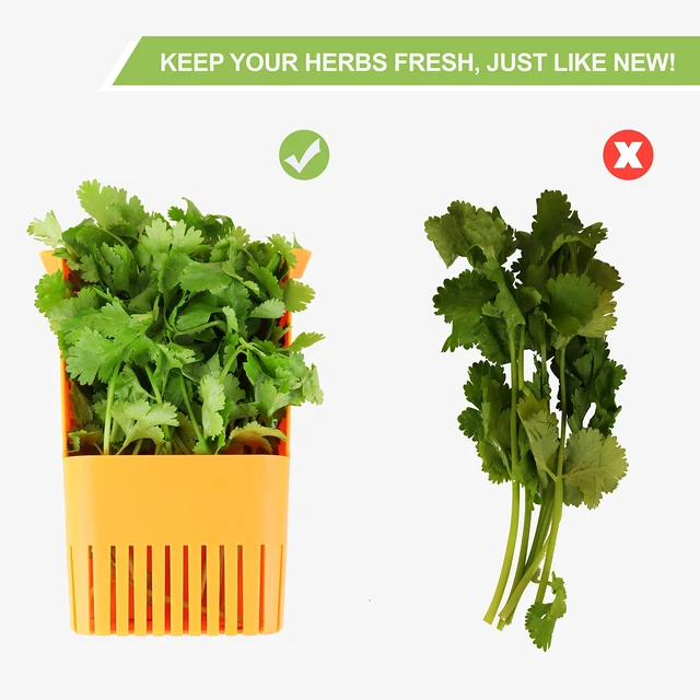 Alt view image 6 of 7 - Fresh Herb Keeper for Refrigerator, Clear BPA-Free Herb Saver, Storage Container for Cilantro, Parsley, Thyme, Mint & Asparagus, Preserver Keeps Fresh Herbs for 3 Times Longer, Orange