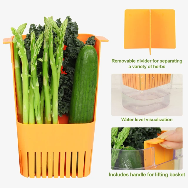 Alt view image 7 of 7 - Fresh Herb Keeper for Refrigerator, Clear BPA-Free Herb Saver, Storage Container for Cilantro, Parsley, Thyme, Mint & Asparagus, Preserver Keeps Fresh Herbs for 3 Times Longer, Orange