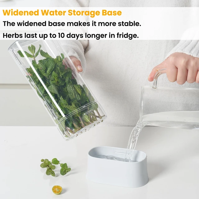 Alt view image 3 of 7 - Herb Keeper for Refrigerator, Fresh Herb Saver Herb Storage Containers, Cilantro Container for Fridge Asparagus Container, Dishwasher Safe