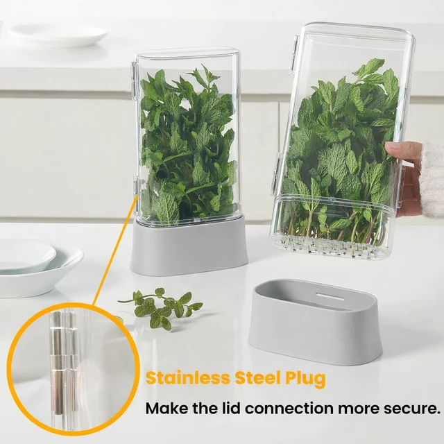 Alt view image 4 of 7 - Herb Keeper for Refrigerator, Fresh Herb Saver Herb Storage Containers, Cilantro Container for Fridge Asparagus Container, Dishwasher Safe