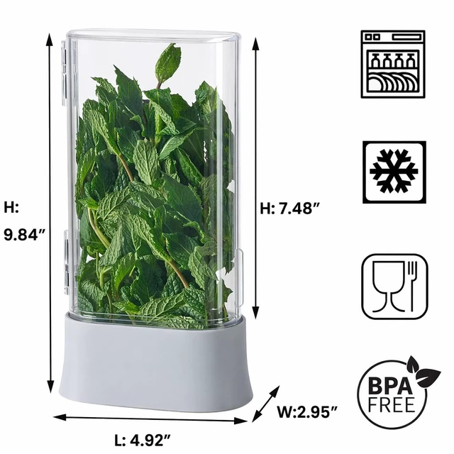 Alt view image 6 of 7 - Herb Keeper for Refrigerator, Fresh Herb Saver Herb Storage Containers, Cilantro Container for Fridge Asparagus Container, Dishwasher Safe