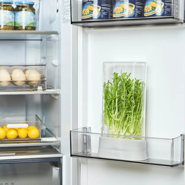Alt view image 7 of 7 - Herb Keeper for Refrigerator, Fresh Herb Saver Herb Storage Containers, Cilantro Container for Fridge Asparagus Container, Dishwasher Safe