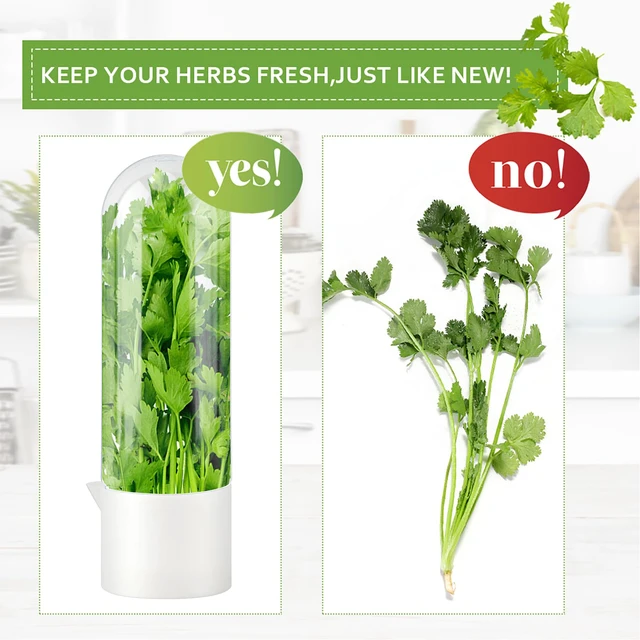 Alt view image 7 of 7 - 2 Pack Herb Saver for Refrigerator with 5-Blade Herb Scissors | Fresh Herb Keeper Clear Preservation Bottle Cilantro Storage Container for Herbs Asparagus Mint Parsley Extends Freshness