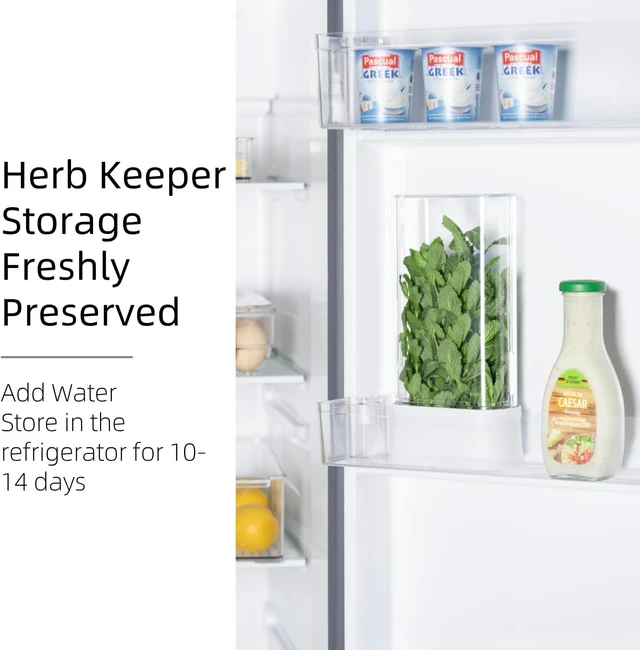 Alt view image 2 of 6 - Green Saver Herb Keeper Refrigerator Storage Container for Cilantro, Asparagus, Fresh Herbs, Dishwasher Safe, Extends Freshness 10 Days