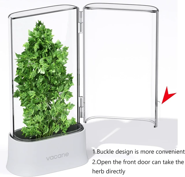 Alt view image 3 of 6 - Green Saver Herb Keeper Refrigerator Storage Container for Cilantro, Asparagus, Fresh Herbs, Dishwasher Safe, Extends Freshness 10 Days