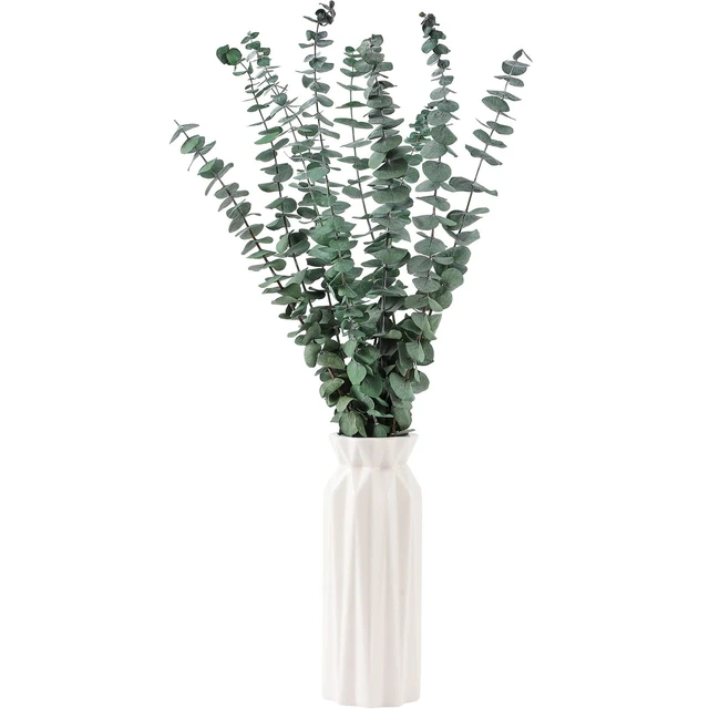 Alt view image 2 of 7 - 10 Pcs Dried Eucalyptus Stems 17" Real Eucalyptus for Shower Hanging | 100% Made from Fresh Eucalyptus Stems, Bathroom Decor Home Decor Wedding, Home, Farmhouse, DIY Spring Decor