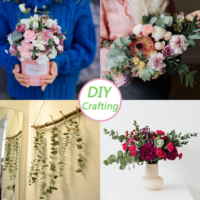 Alt view image 6 of 7 - 10 Pcs Dried Eucalyptus Stems 17" Real Eucalyptus for Shower Hanging | 100% Made from Fresh Eucalyptus Stems, Bathroom Decor Home Decor Wedding, Home, Farmhouse, DIY Spring Decor