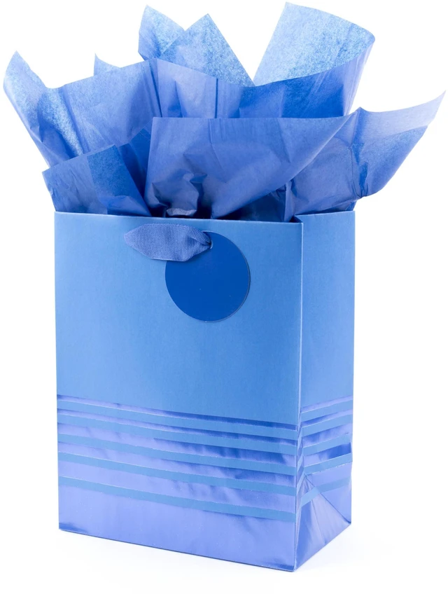 Main image of 9" Medium Gift Bag with Tissue Paper (Blue Foil Stripes) | Two-Tone Blue Metallic Stripes, Blue Ribbon Handle and Foil Gift Tag, Great for Birthdays, Hanukkah, Christmas, Fathers Day