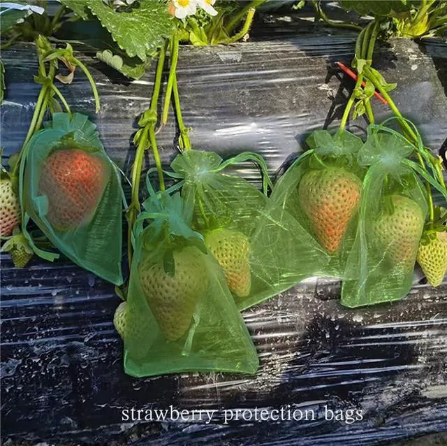 Alt view image 6 of 7 - 100PCS Organza Bags 4''X6'' Olive Green Small Mesh Gift Bags with Drawstring for Jewelry, Party Favor, Candy, Fruit Protection Bags