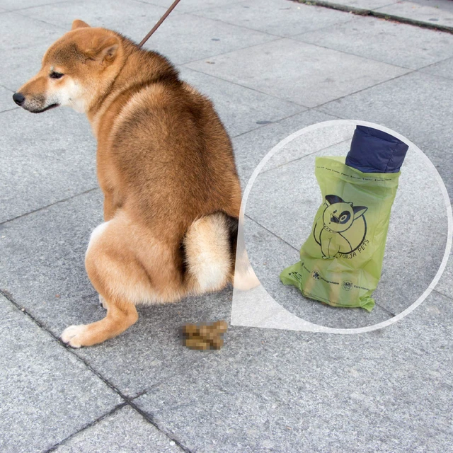 Alt view image 6 of 6 - Dog Poop Bags Rolls with OK biobased Certified, 360 Pet Waste Bags, 100% Leak Proof Extra Thick and Strong Corn Starch Based