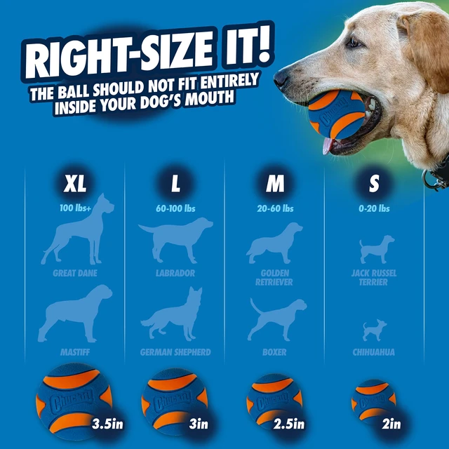 Alt view image 6 of 6 - Ultra Squeaker Dog Ball, Fetch Toy, Medium, 1 Pack