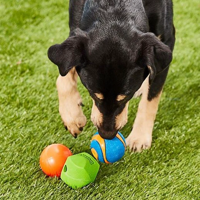 Alt view image 2 of 3 - Gen 1 Fetch Pack Dog Balls - Interactive Dog Toys, High-Bounce Fetch Ball, Floating Ultra and Rugged Balls, Durable - Size Medium, 2.5-inch Diameter, Set of 3