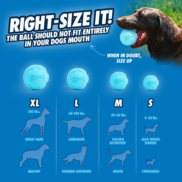 Alt view image 7 of 7 - Rebounce Ball Dog Toy, Medium 2.5 Inch, for Dogs 20-60 lbs, Blue | Bouncy rubber build, unpredictable bounce pattern, durable outdoor construction, pack of 2 balls, great for playtime today