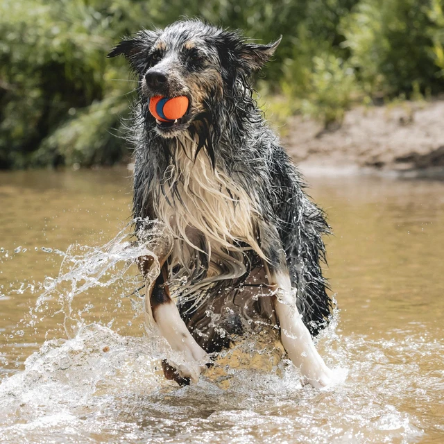 Alt view image 3 of 7 - Ultra Ball Dog Fetch Toy, Large 3in, for 60-100lbs Dogs, Floats | Made from Durable Rubber, Super Bouncy and Floats in Water; Size Large, 3-In Diameter, for Dogs 60-100 lbs