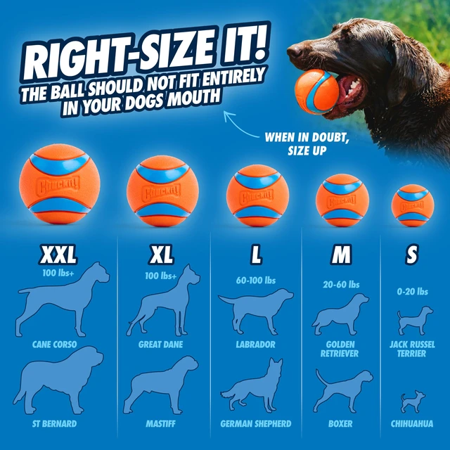 Alt view image 4 of 7 - Ultra Ball Dog Fetch Toy, Large 3in, for 60-100lbs Dogs, Floats | Made from Durable Rubber, Super Bouncy and Floats in Water; Size Large, 3-In Diameter, for Dogs 60-100 lbs