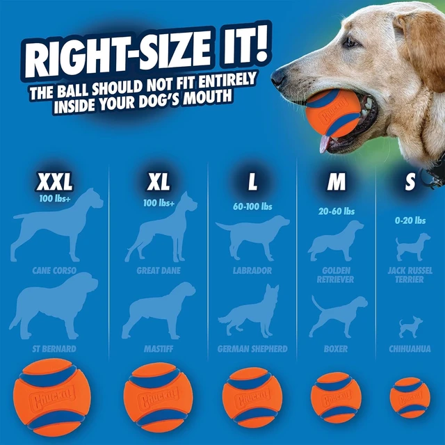 Alt view image 4 of 5 - Ultra Ball Dog Toy - Medium Bouncy Fetch Balls for Dogs 20-60 lbs - Made from Durable Rubber - Floating Water Pet Toys - Size Medium - 2.5-inch Diameter - Pack of 6