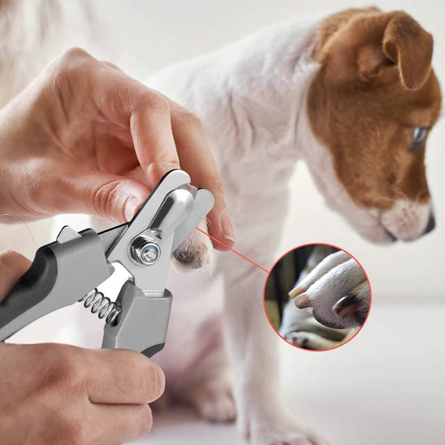 Alt view image 4 of 6 - Dog Nail Clippers,Dog Nail Trimmers for Large Breed Dog with Quick Sensor,Safari Professional Cat Nail Clipper with Safety Guard and Nail File.