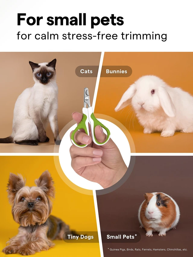 Alt view image 6 of 7 - Pet Nail Clippers for Indoor Cats & Small Animals - Precision Angled Blades & Steady Grip - Ideal for Kittens Tiny Dogs Rabbits Birds - Nail Trimmer & Claw Scissors for Home Grooming - eBook + App