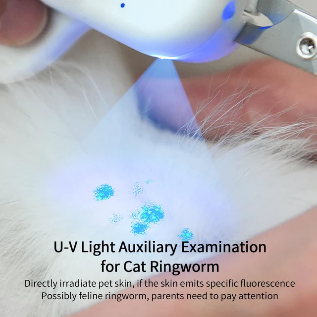 Alt view image 3 of 7 - Cat Nail Clipper with LED Light, Safe & Precise for Cats & Kittens | Pet nail trimmer with -U-V light, sharp angled blade, and USB charging for rabbits, guinea pigs, and small dogs
