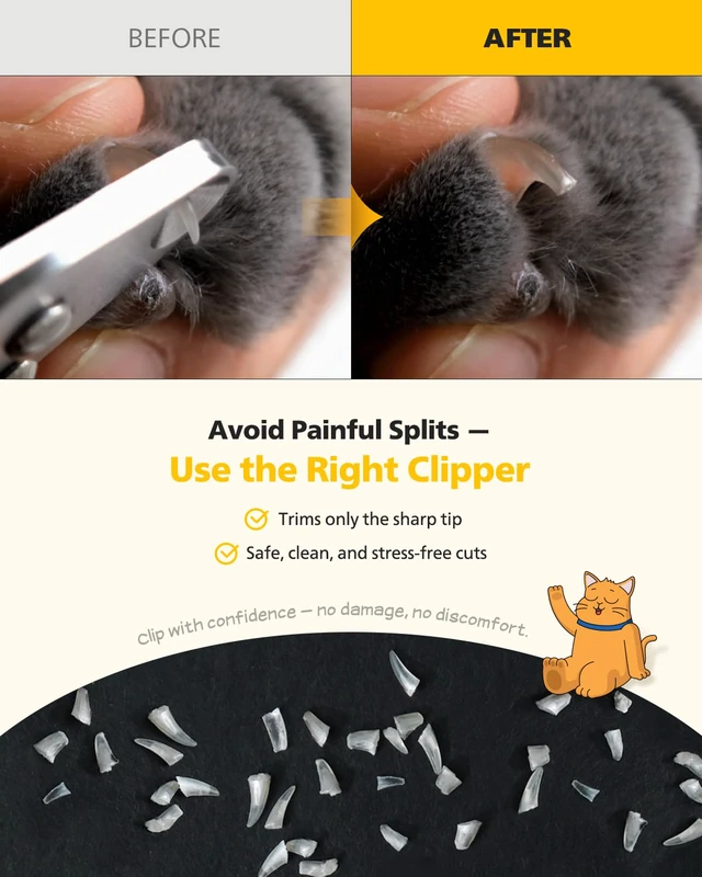 Alt view image 6 of 7 - Cat Nail Clipper Trimmer for Indoor Cats, 2mm Circular Cut Hole | Premium Sturdy Stainless Steel Blade Cat Claw | Safe, Easy, Accurate, Quiet & Fast, Avoid Overcutting