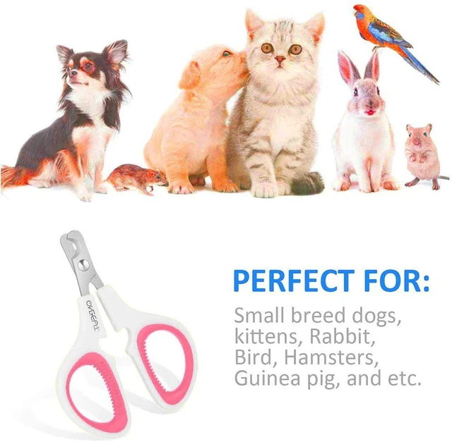 Alt view image 4 of 5 - Pet Nail Clippers, Cat & Kitten Claw Nail Clipper Safe Sharp Trimmer | Update Version Professional Stainless Steel Pet Nail Clipper for Cat, Puppy,Rabbit, Kitten & Small Dog,Sharp & Safe (Pink)