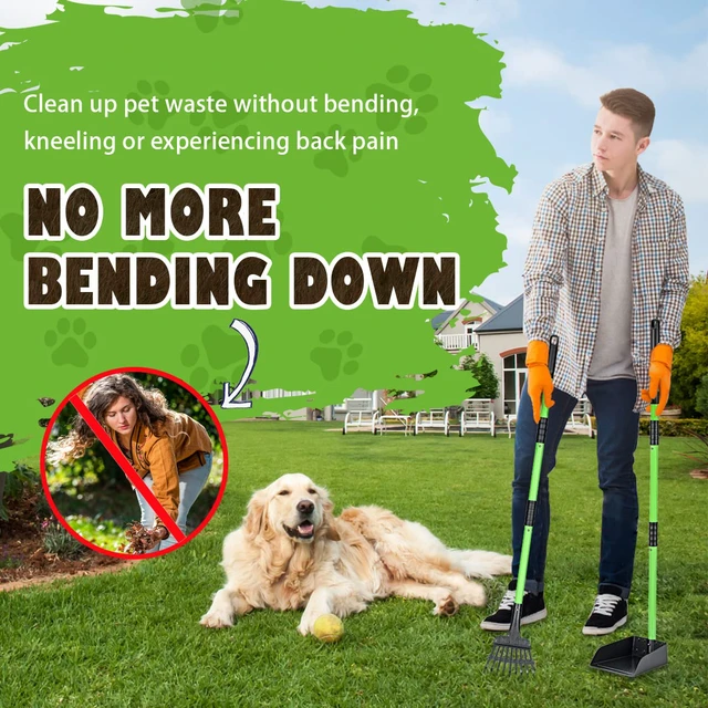 Alt view image 2 of 7 - Pooper Scooper, Dog Pooper Scooper Long Handle Stainless Metal Tray and Rake Set for Medium Small Dogs Heavy Duty - Use on Grass, Dirt or Gravel - Pet Supplies (Green)