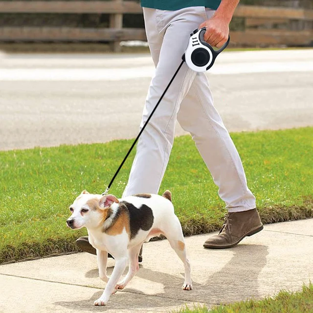 Alt view image 6 of 6 - Retractable Dog Leash 16ft, Tangle-Free Expandable Leash for Medium Dogs Up to 33lbs, Easy-Adjust Lock & Anti-Slip Handle for Safe Walks
