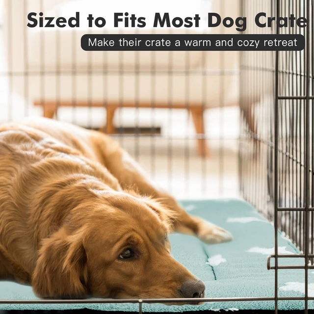 Alt view image 5 of 6 - Dog Crate Pad Washable Cat Dog Bed for Crate Flat Pet Kennel Mat | Soft Dog Cat Bed Mat, Puppy Crate Pad for Dog Cages Cozy Sleeping Liner, Cute Pet Pillow Cushion Anti Slip Small Blue 24 x 18